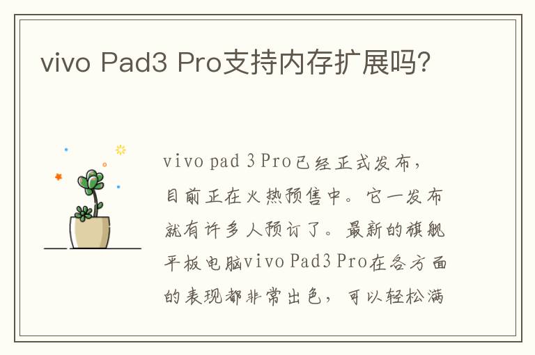 vivo Pad3 Pro支持内存扩展吗？