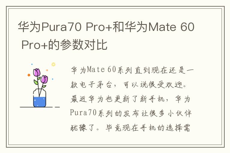 华为Pura70 Pro+和华为Mate 60 Pro+的参数对比