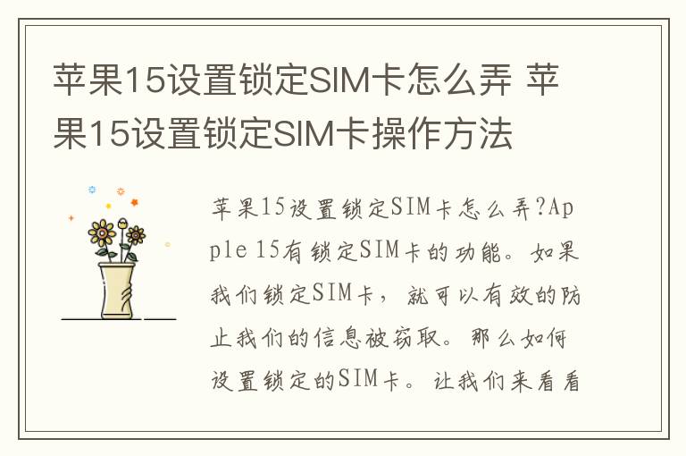 苹果15设置锁定SIM卡怎么弄 苹果15设置锁定SIM卡操作方法