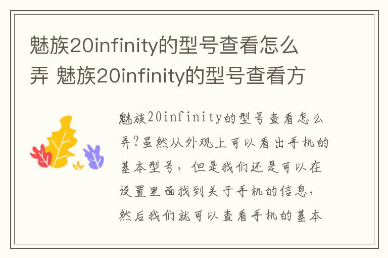 魅族20infinity的型号查看怎么弄 魅族20infinity的型号查看方法