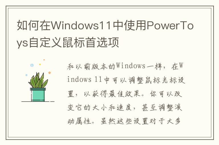 如何在Windows11中使用PowerToys自定义鼠标首选项
